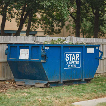 10 Yard Residential Dumpster